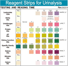 Urinalysis Test Strips – 10 Parameter Home Urine Test Kit | 100 Strips