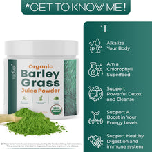 Organic Barley Grass Juice Powder – Raw & Nutrient-Rich Detox | 8 oz