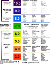 pH Test Strips – Fast & Accurate Alkaline & Acid Level Testing