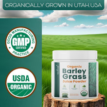 Organic Barley Grass Juice Powder – Raw & Nutrient-Rich Detox | 8 oz