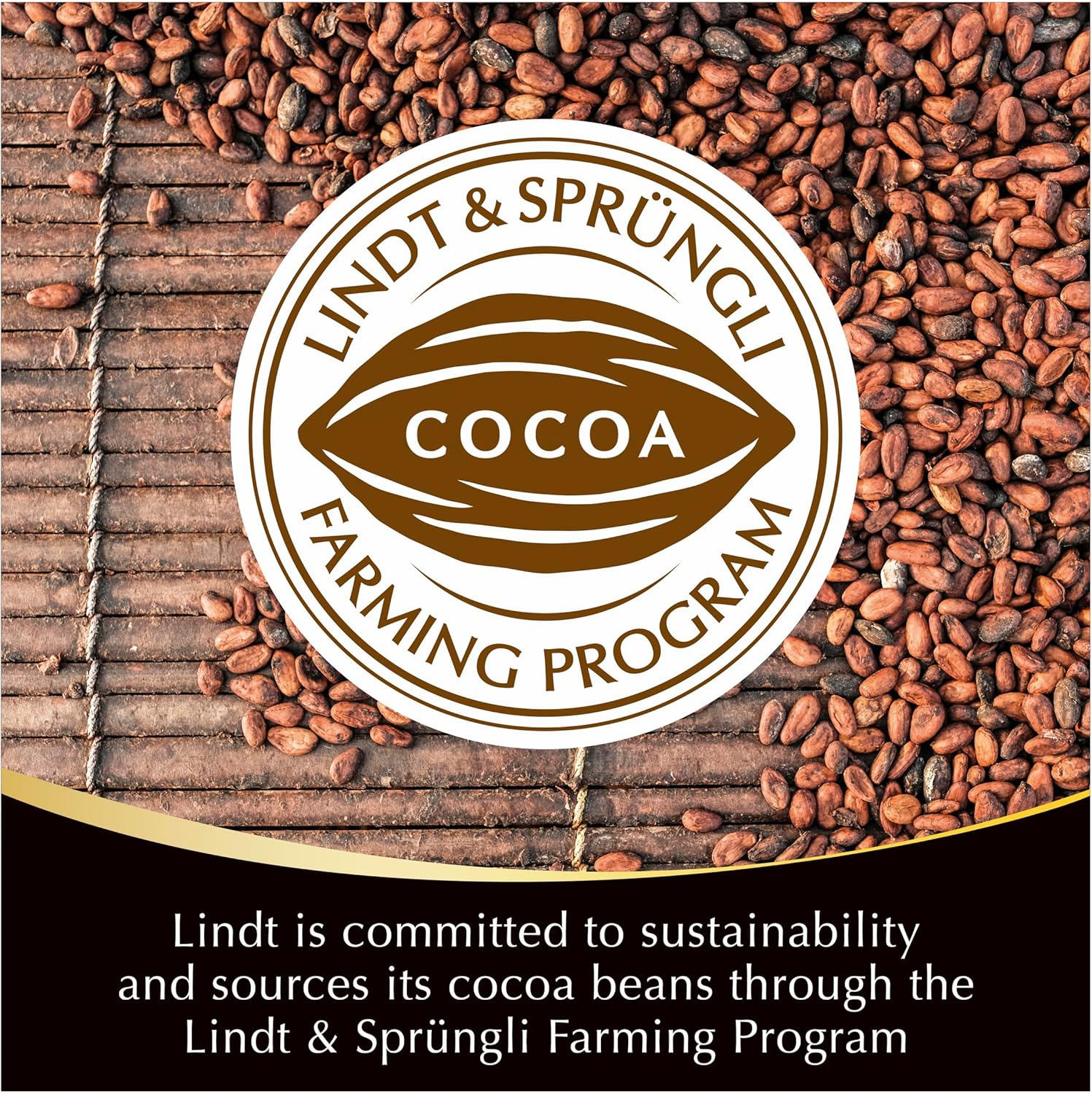 Lindt Excellence 95% Dark Chocolate – Intense & Rich | 80g