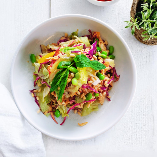 Asian Flavoured Aroma Chicken Salad 250g
