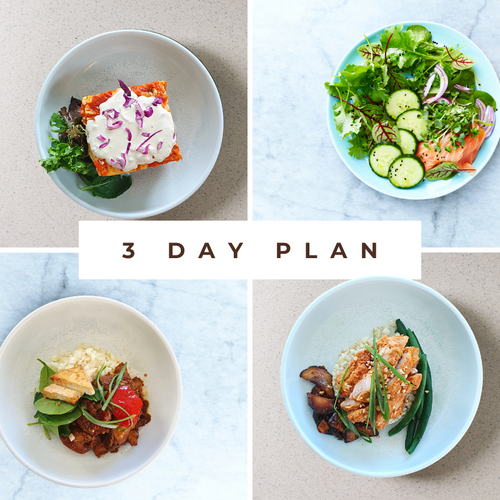 3 Day Keto Meal plan Delivery 